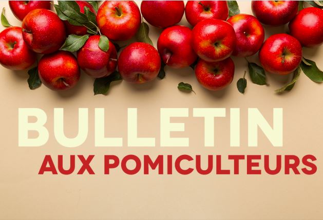 Image Bulletin aux pomiculteurs