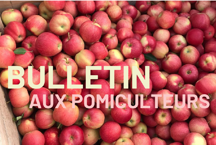 Image Bulletin aux pomiculteurs