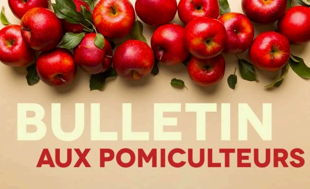 Image Bulletin aux pomiculteurs