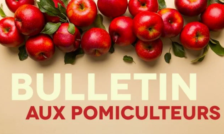 Image Bulletin aux pomiculteurs