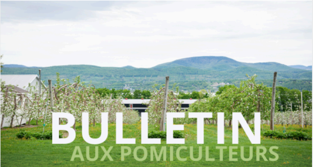 Image Bulletin aux pomiculteurs