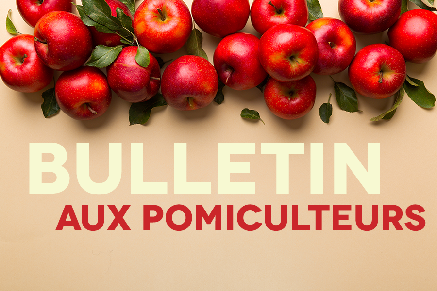 Image Bulletin aux pomiculteurs